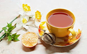 Картинки Напиток Чай Орхидеи Чашке Блюдце Еда Цветы