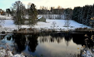 Фотография Времена года Зима Литва Снег Деревьев Пренай Природа