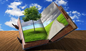 Обои для рабочего стола Оригинальные Небо Деревьев Трава Облачно Книги