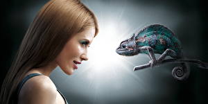 Фотографии Рептилии Взгляд Волос Брюнетка Хамелеоны Шатенка Юмор Девушки Животные