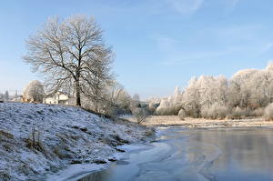Фото Времена года Зима Небо Снеге Дерева Лед Природа