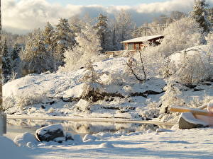 Фото Времена года Зима Канада Снеге Деревья Онтарио Природа