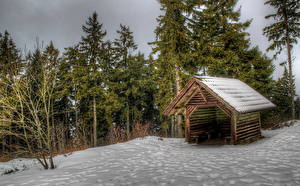 Фотографии Сезон года Зима Германия Снег Деревья HDRI Оппенау Природа