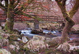 Обои Река Камень Англия Деревьев Мох Belstone Природа