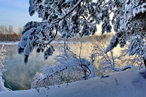 Фотография Времена года Зима Речка Снег Ветвь Природа