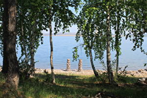 Картинки Озеро Деревья Береза Белё Хакасия