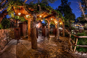 Фото США Диснейленд В ночи Ствол дерева HDRI Калифорния Города