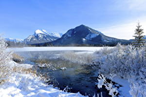 Картинка Парки Канада Гора Снегу Банф Природа