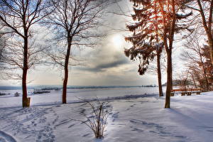 Фотография Сезон года Зима Снеге Дерево Горизонт HDR Природа