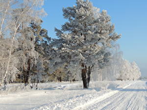 Обои Сезон года Зима Дороги Снег Дерево Природа