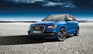 Фото Audi Фар Синяя Спереди 2013 sq5  tdi exclusive автомобиль