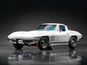 Обои для рабочего стола Шевроле Белые 1966 Corvette Sting Ray L72 427 автомобиль