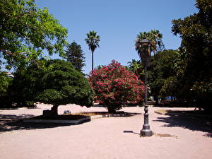 Картинка Парк Италия Тротуар Сицилия Мессина by Andrei Antipin Природа Города