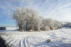 Картинки Времена года Зима Дания Дороги Снег Природа