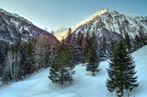 Фото Горы Австрия Деревья Ель Снегу Альп Природа