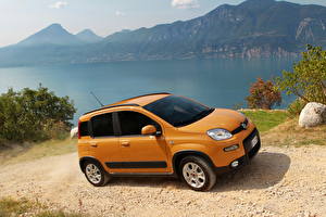Картинки Fiat Оранжевых Сбоку 2012 Fiat Panda Trekking Автомобили Природа