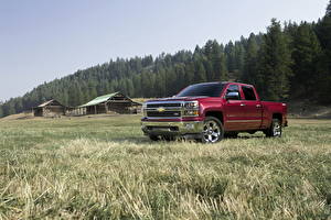 Фотографии Chevrolet Траве 2014 Silverado LTZ Автомобили Природа