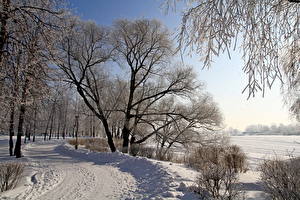 Обои Времена года Зима Дороги Снег Дерево Природа