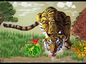 Картинки Большие кошки Тигры Рисованные Животные