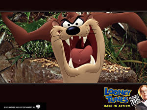 Картинка Луни Тюнз