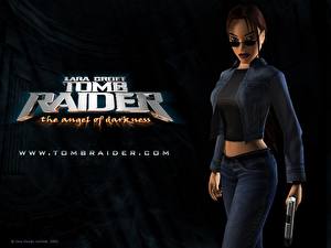 Фото Tomb Raider Tomb Raider The Angel of Darkness Игры