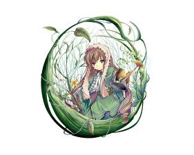 Картинка Розен мейден