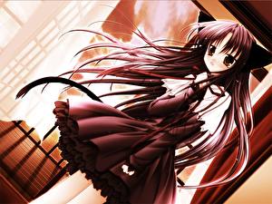 Фотографии Девочки Кошки