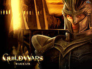 Фотографии Guild Wars warrior