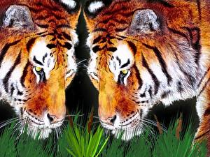 Картинка Большие кошки Тигры Рисованные животное