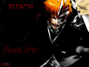 Фото Bleach: Memories of Nobody