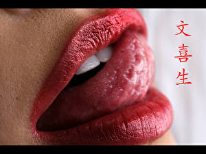 Картинка Губы Язык (анатомия)