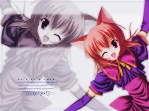 Картинки Neko Girls