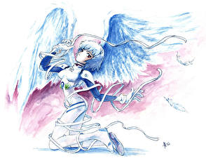 Картинка Neon Genesis Evangelion Аниме