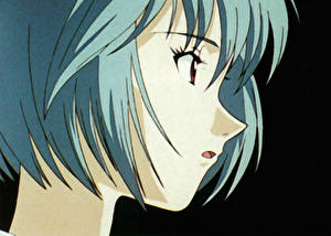 Фотография Neon Genesis Evangelion