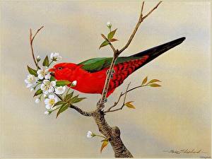 Картинка Птицы Цветной фон животное