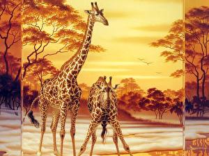 Картинки Жираф