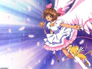 Картинка Card Captor Sakura Аниме