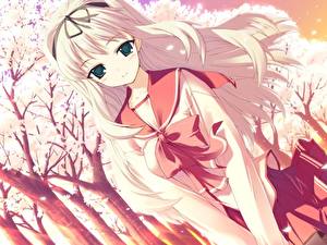 Обои Для сердца