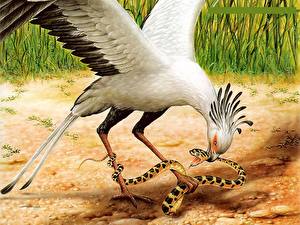 Картинка Змеи Птица Экзотические Животные