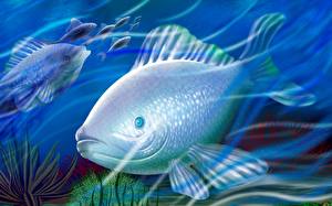 Обои Подводный мир Рыбы Животные