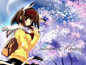 Фотографии Neko Girls Аниме