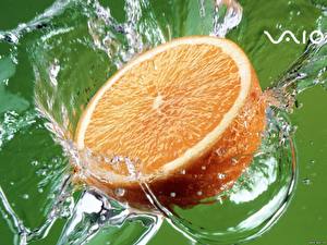 Фотографии Фрукты Цитрусовые Апельсин Продукты питания