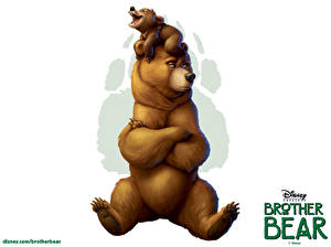Фотография Disney Братец медвежонок Медведи Белый фон Мультики