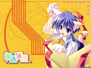 Обои Девочки Кошки