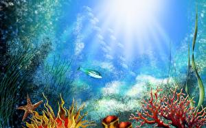 Картинки Подводный мир Кораллы животное