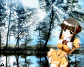 Фото Космическая Стеллвия