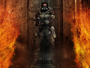 Фотографии STALKER компьютерная игра