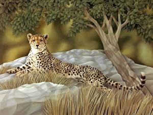 Фотография Большие кошки Гепарды Рисованные Животные