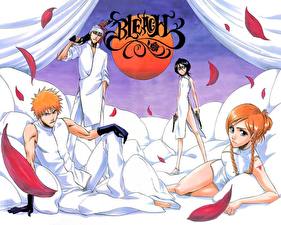 Фотографии Bleach: Memories of Nobody