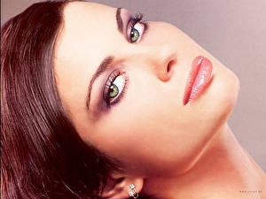 Фото Carmen Electra Знаменитости